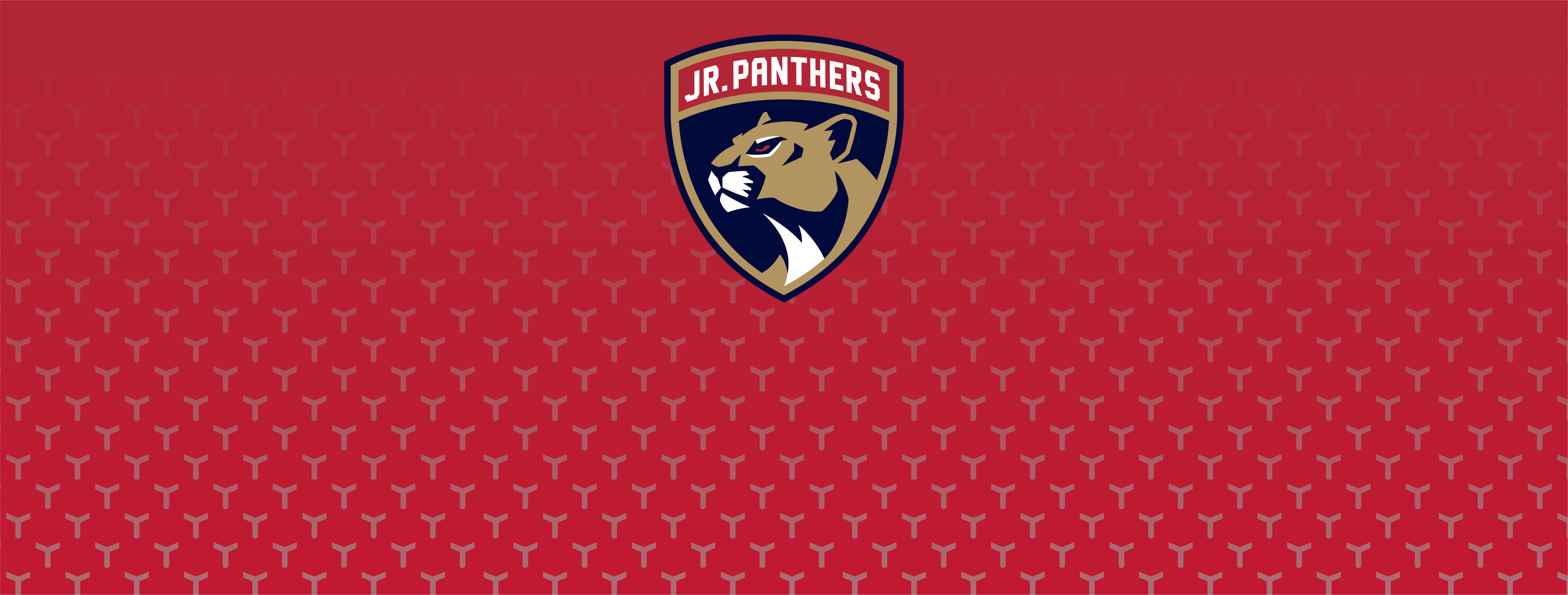 FL JR PANTHERS TEAM STORE